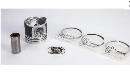 1931002 - Поршень в сборе